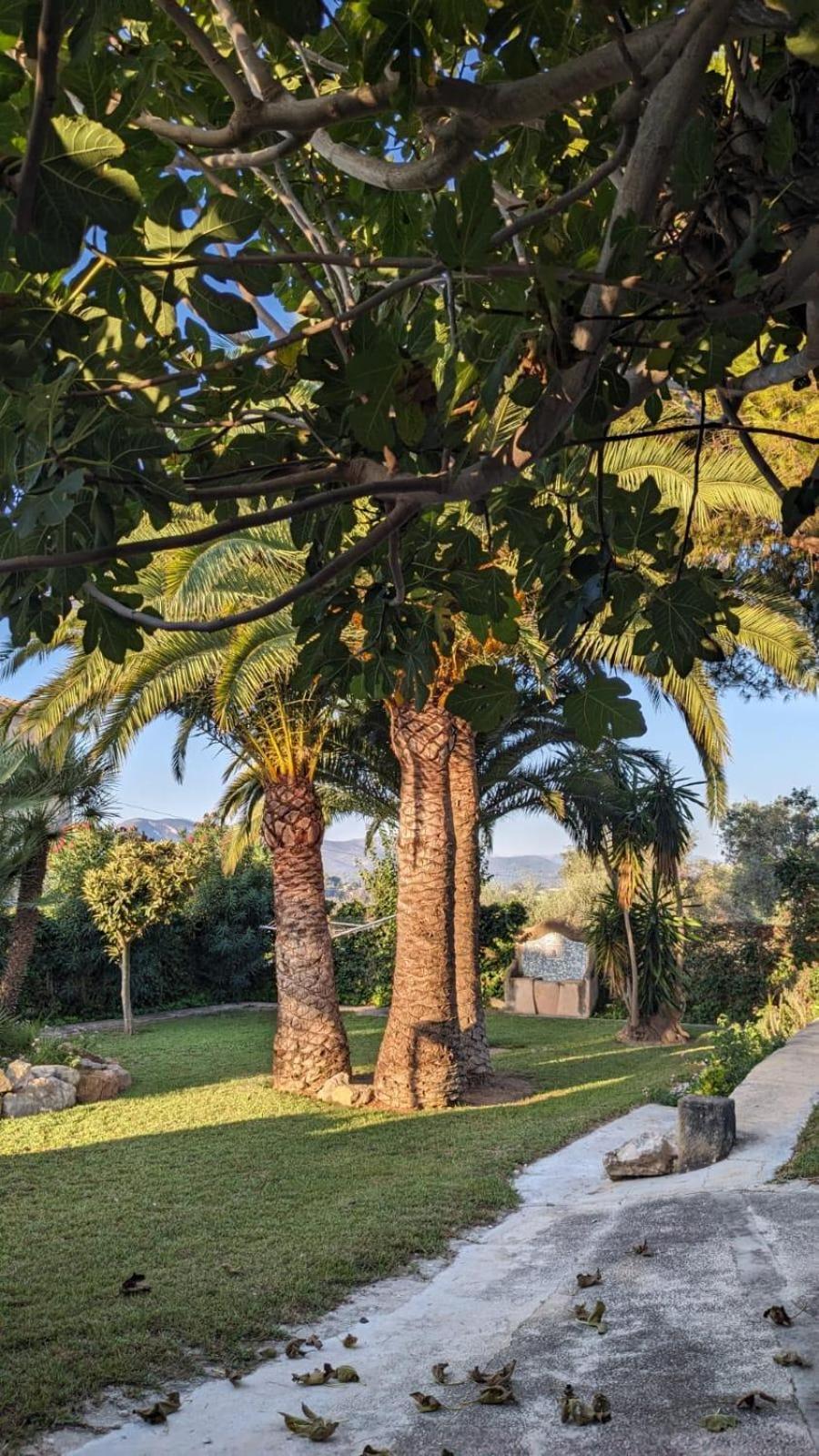 Villa Ca Tosca Jávea Exterior foto